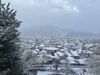 Winter Serenity at Matsushiro Castle