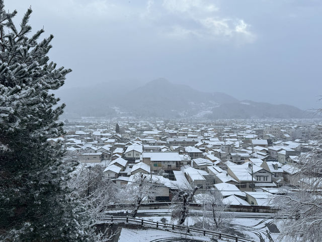 Winter Serenity at Matsushiro Castle