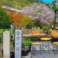 京都