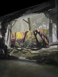 Arte Museum Jeju