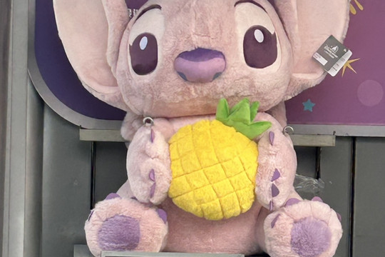 1mi06224x8zrox36qB486_R_600_40