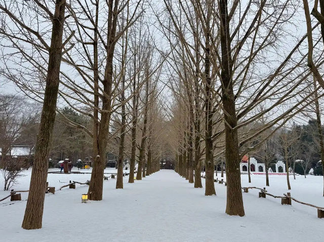 Nami Island