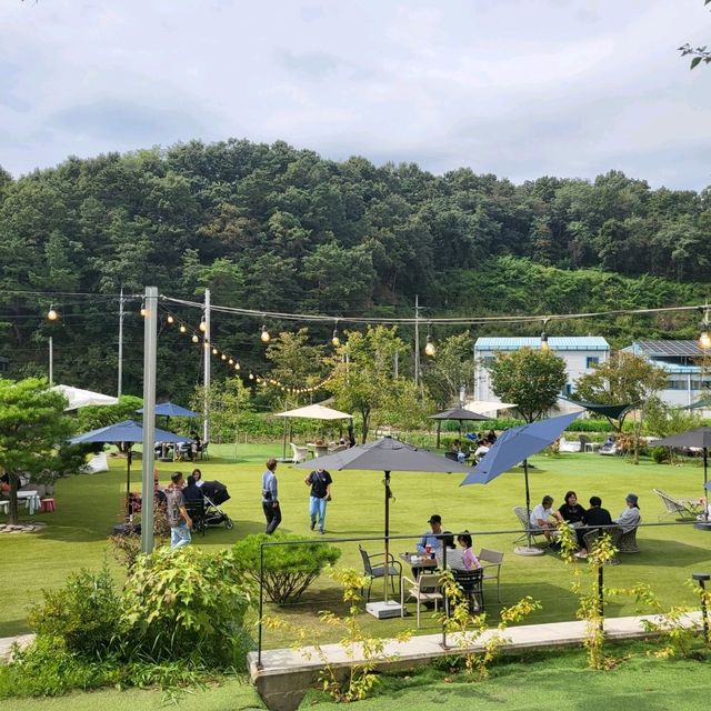 원주 정원이 큰 카페 로톤다