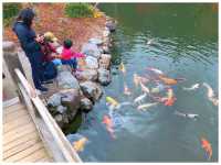【岐阜/多治見】国宝に指定された観光スポット‼︎＊虎渓山 永保寺 （こけいざん えいほうじ）＊