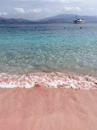 Komodo Island: A Wild Paradise of Dragons and Untouched Beauty