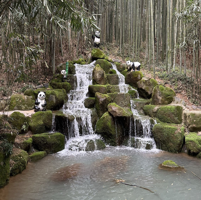【タムヤン】🇰🇷 竹緑苑