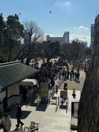 輕鬆大阪城一日遊：歷史與自然的和諧之旅🏯🌸