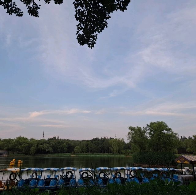 Chaoyang Park Beijing