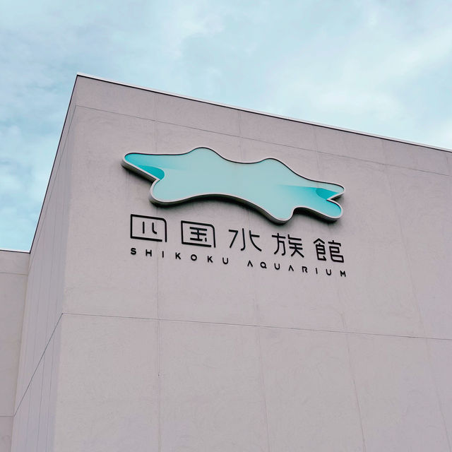 四國香川縣｜高松市內絕美「四國水族館」
