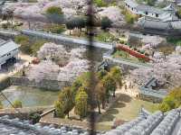 Himeji Castle Park, Himeji