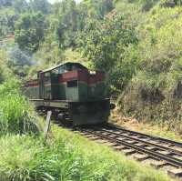 【スリランカ】幻想的な鉄道絶景！ナイン・アーチ・ブリッジ🚂🌿