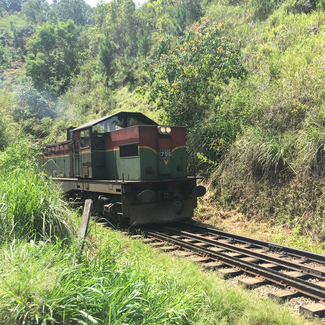 【スリランカ】幻想的な鉄道絶景！ナイン・アーチ・ブリッジ🚂🌿