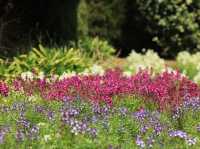 能古島海島公園：用不落幕的詩意花園