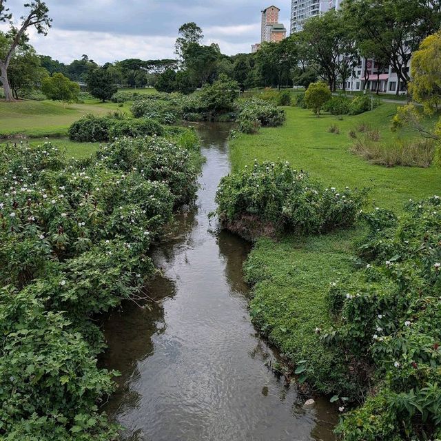 Bishan-Ang Mo Kio Park