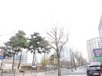 首爾｜汝矣島飯店推薦 Glad Yeouido 交通便利、服務佳，值得再來入住