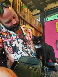 Nusa Lembongan Cat Cafe!
