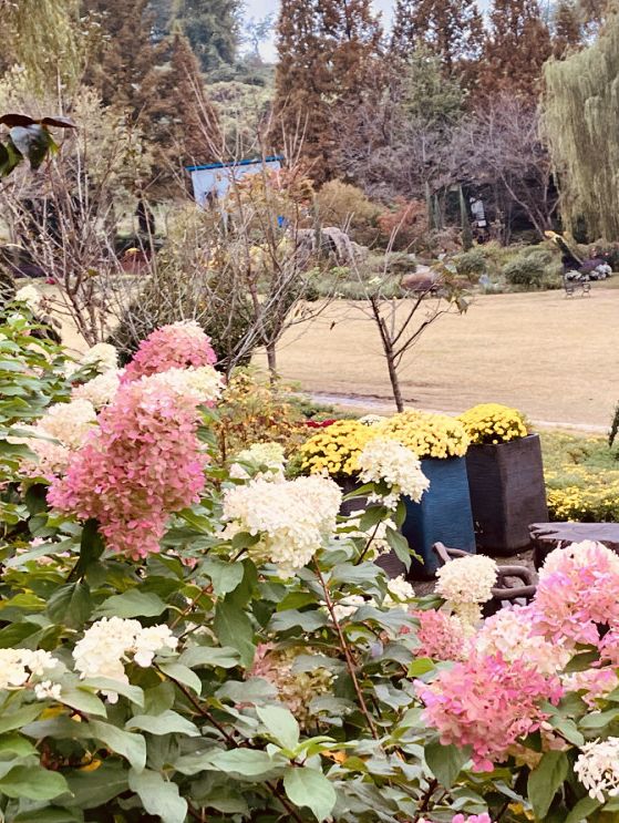 A Springtime Floral Escape 🌷🏞️
