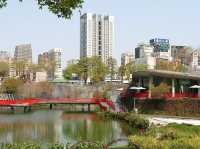 秋紅谷景觀生態公園