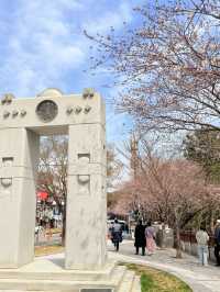 釜山｜迎月路粉色浪漫散步道 臥牛山的浪漫故事