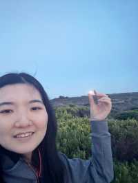 【Great Ocean Road in Melbourne Day 2】