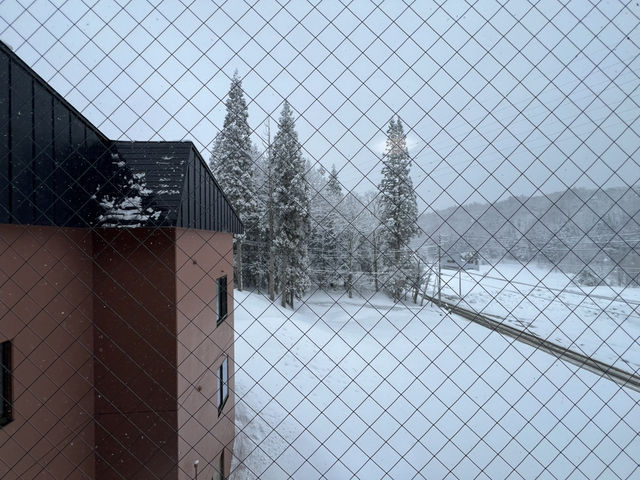 CP值高、又靠近雪場的旅館