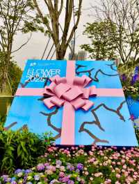 Discover the Beauty of the Shenzhen Flower Show 2025