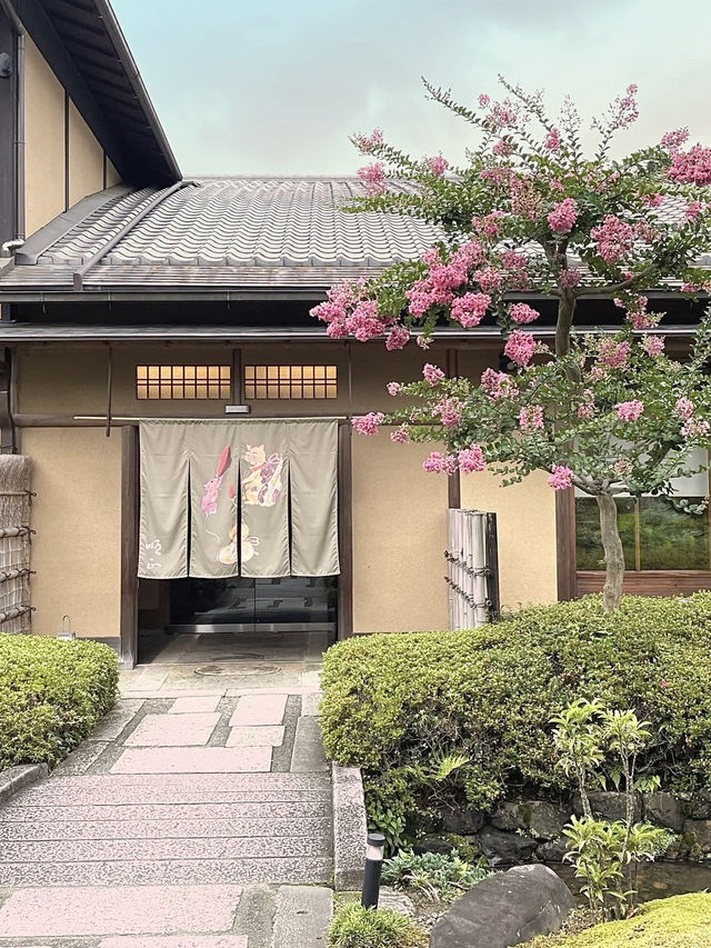 Spring Day Trip to Kifune Shrine🍃