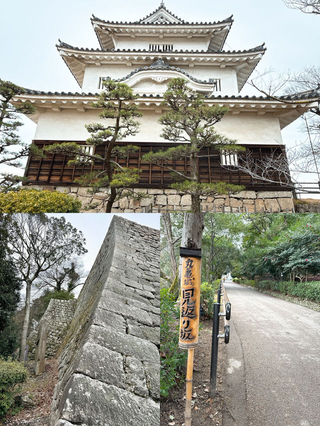 【丸亀】日本一高く美しい石垣⭐️現存の名城✨