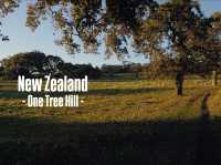 【NZ】ニュージーランド⛲️公園