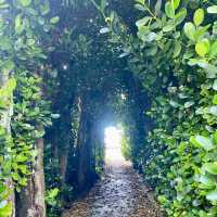 🌿やんばるの「南瞑森室」で心と体をリセット🌿