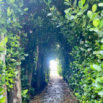 🌿Reset your mind and body at Yanbaru's "Minamimeishu"🌿