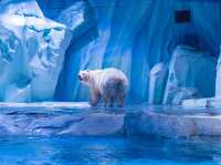 สวนสนุกโลกใต้ทะเล Shanghai Haichang Ocean Park