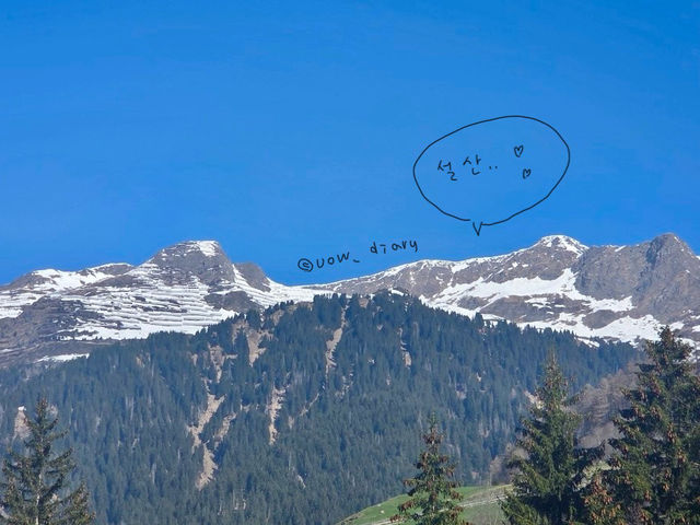 자연의 아름다움, 스위스는 역시 스위스입니다..!!🇨🇭🧀
