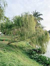 “Taman Jaya Park: Serene Spring Escape”