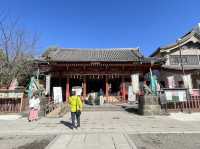 Asakusa Temple หรือ Sensoji Temple