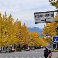 Chengdu – Where Pandas Meet Culture