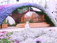 เที่ยวงานดอกไม้ Wondrous Bloom 