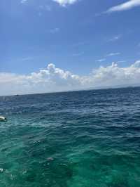 【フィリピン】天然ヒトデに会える島