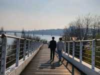 Immerse in Romantic Cherry Blossoms & More in Seoul Forest