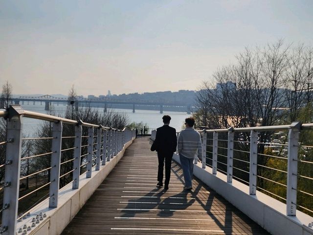 Immerse in Romantic Cherry Blossoms & More in Seoul Forest