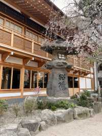 【福岡】「博多祇園山笠」発祥の地✨