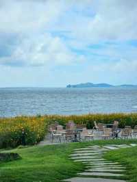 Golden Horizons in jeju: Where Canola Meets Ocean