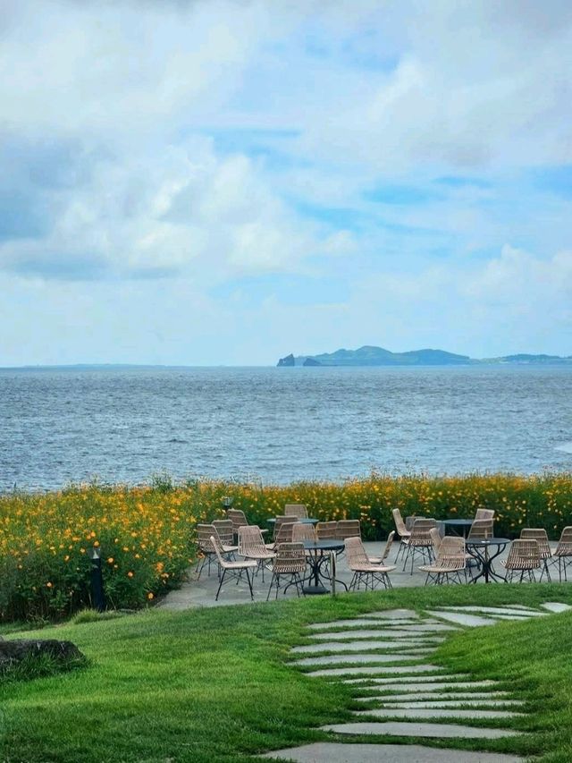 Golden Horizons in jeju: Where Canola Meets Ocean