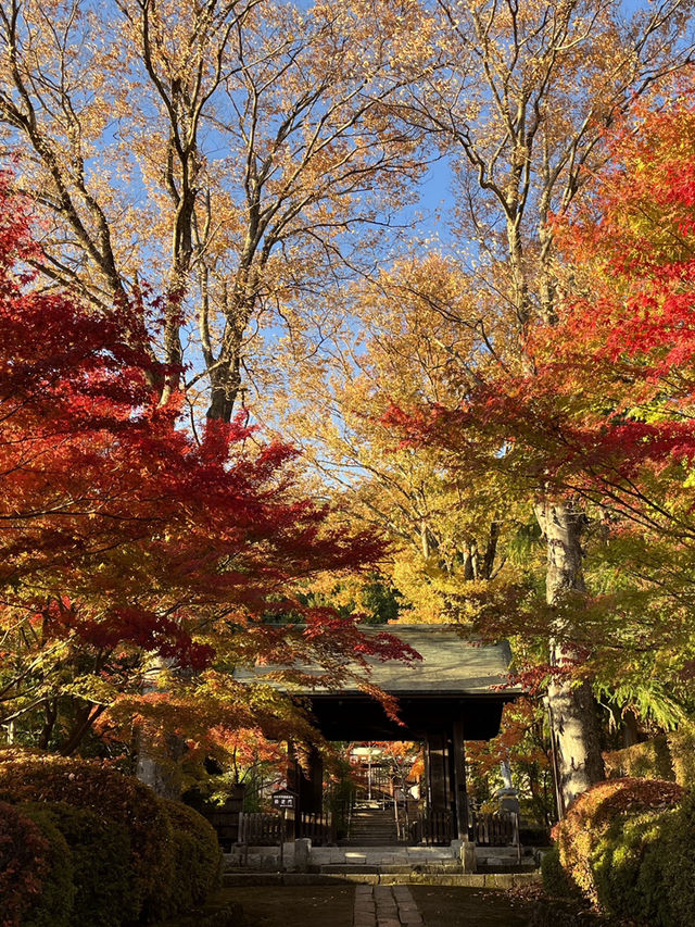 【木曽福島・興禅寺の紅葉で感じる秋の静寂】