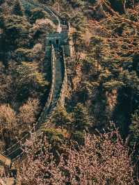 Walking Through History: A Day at Mutianyu Great Wall
