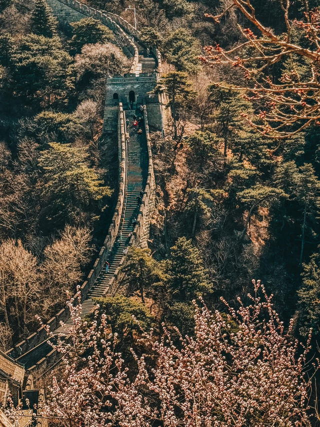 Walking Through History: A Day at Mutianyu Great Wall