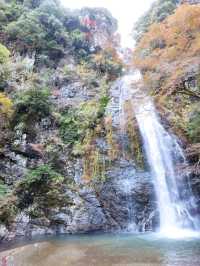 大阪郊區秘境一日遊，勝尾寺祈福 × 箕面瀑布森林漫步