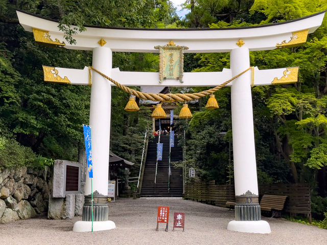 【山のパワー宿る社】宝登山神社（ほどさんじんじゃ）⛩️🐗