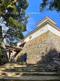 ひこにゃんで有名なお城🏯国宝 彦根城に行ってきた！
