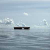 The best diving destination in Malaysia, Sipadan island 